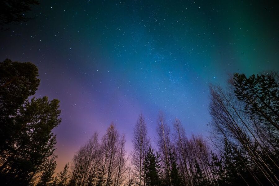 From Reykjavik: Northern Lights Tour - Large bus comfort, limited intimacy