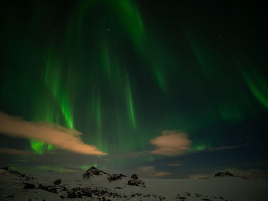 From Reykjavik: Northern Lights Tour with Hot Cocoa & Photos - Who will enjoy this most