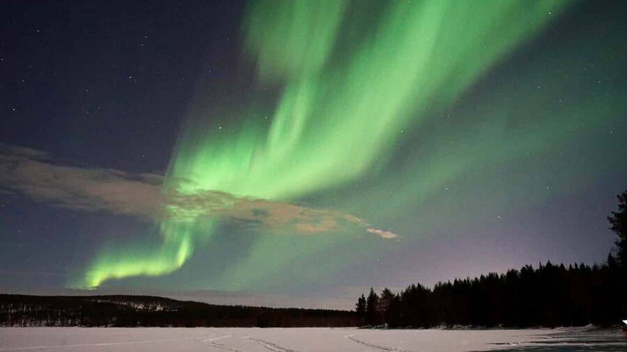 From Rovaniemi: Family-Friendly Northern Lights Tour - Guide quality and group size matter