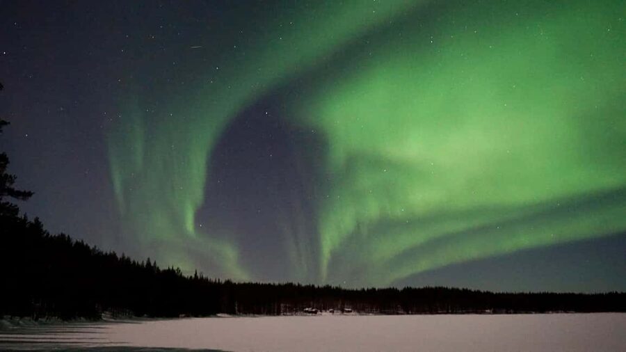 From Rovaniemi: Family-Friendly Northern Lights Tour - Leaving Rovaniemi for the forest