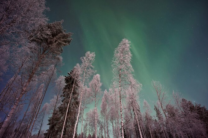 From Rovaniemi: Northern Lights Tour with Campfire Snacks - Key points at a glance