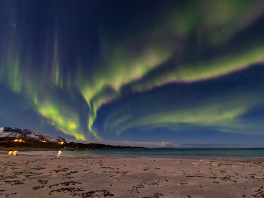 From Svolvær: Guided Northern Lights Tour by Van - Why the van matters in Lofoten