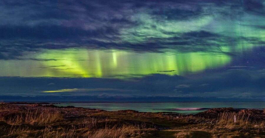 From Svolvær: Guided Northern Lights Tour by Van - What the guide adds to the night