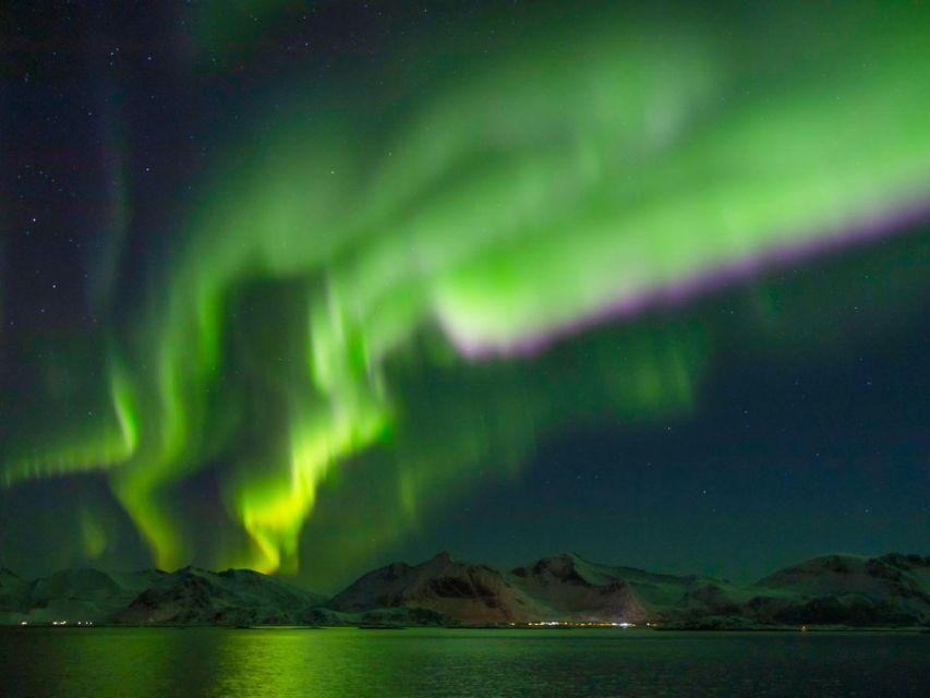 From Svolvær: Guided Northern Lights Tour by Van - Photography help for cameras and phones