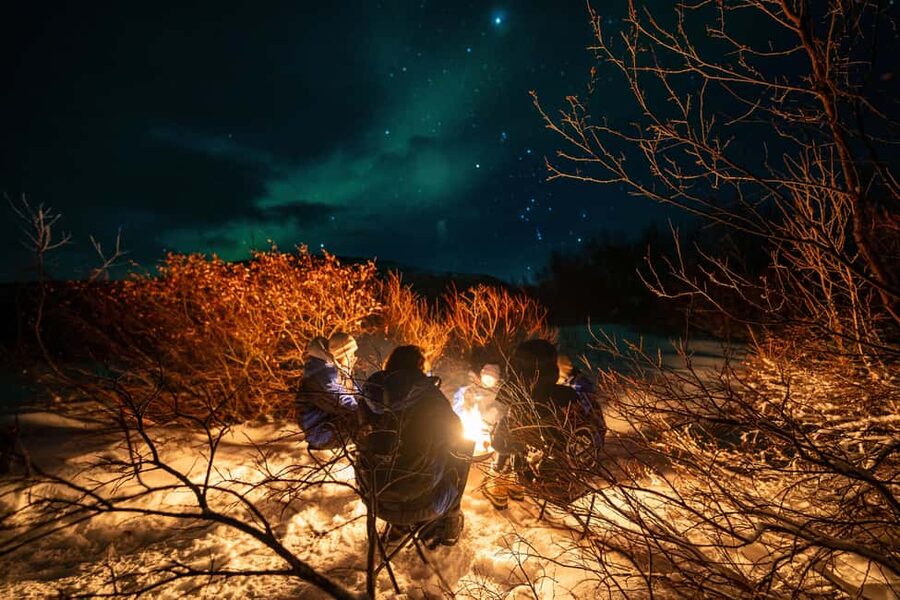 From Tromsø: Northern Lights Chase - Price and value at $241