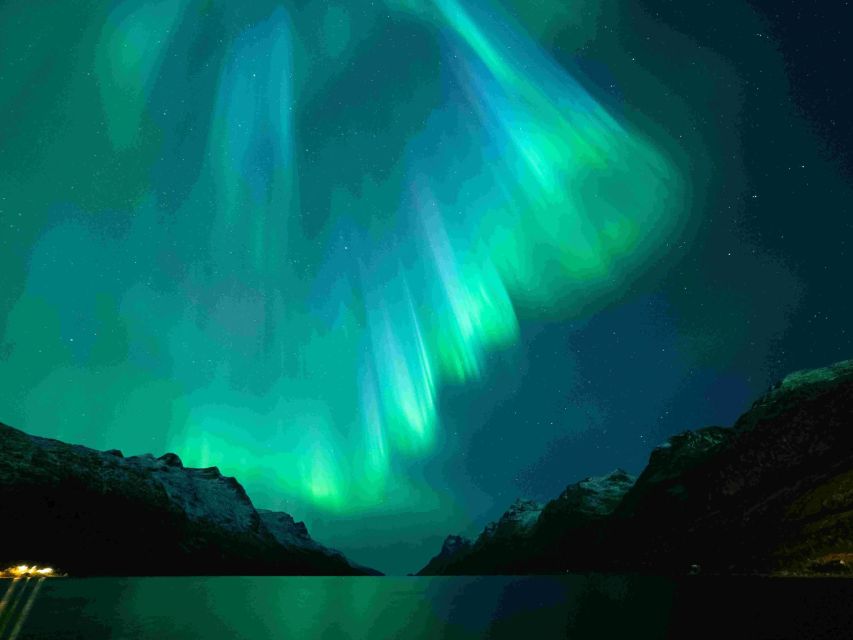 From Tromsø: Northern Lights Cruise on a Cozy Vintage Vessel - Meeting the guide, captain, and crew