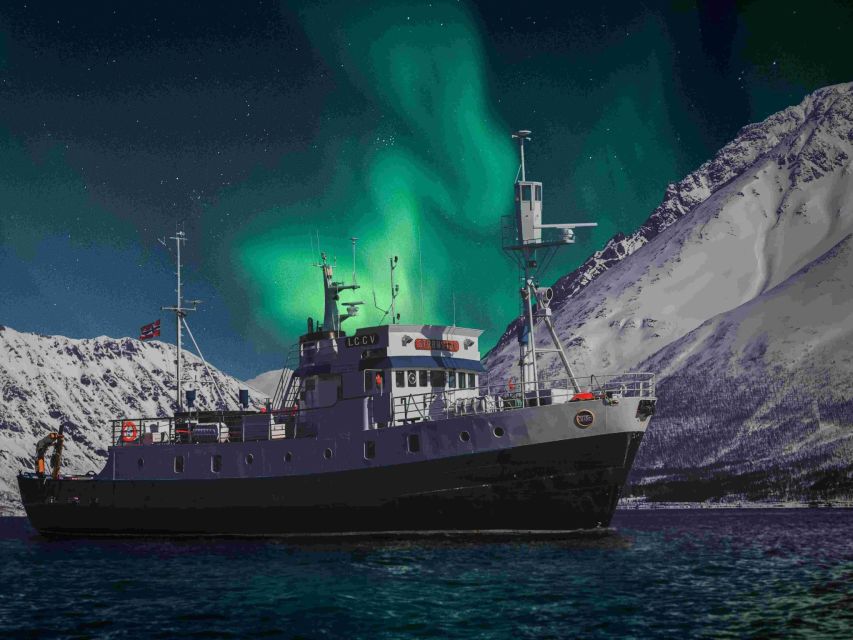 From Tromsø: Northern Lights Cruise on a Cozy Vintage Vessel - Four hours through Tromsø’s dark fjords