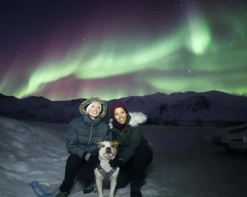 From Tromso: Northern Lights Photography Tour - Key points before you book