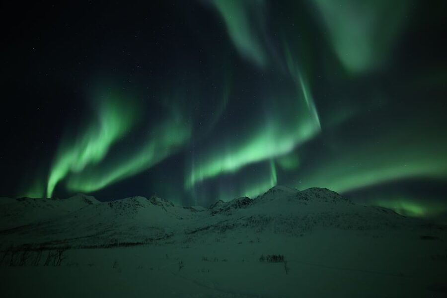From Tromso: Northern Lights Photography Tour - Campfire time with hot chocolate and marshmallows