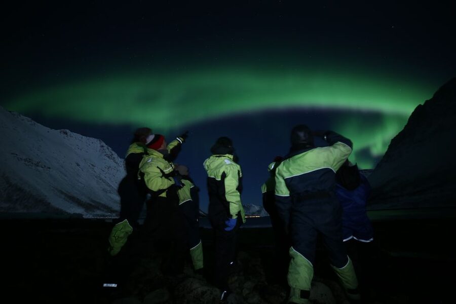 From Tromso: Northern Lights Photography Tour - Photo stops at dark viewpoints