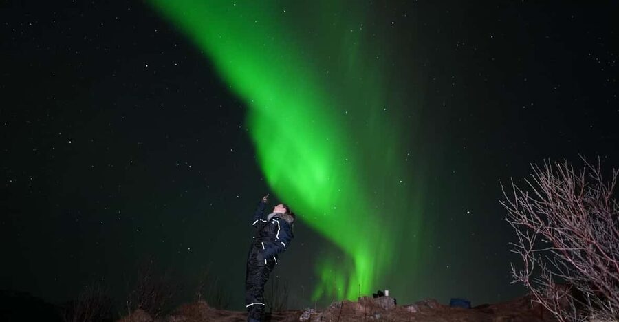 From Tromsø: Northern Lights Tour with Hot Drinks and Photos - A Tromsø night built around the chase