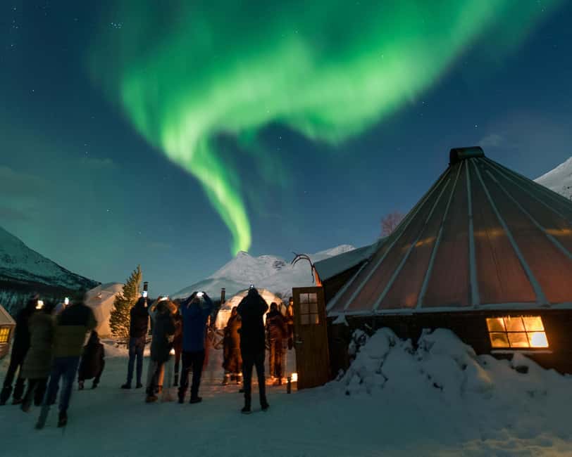 From Tromsø: Northern Lights Visit at Camp Tamok - Key points to know before you book