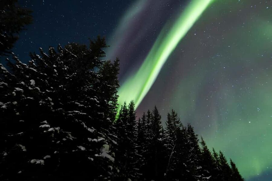 From Tromsø: Northern Lights Visit at Camp Tamok - Walking to nearby viewing spots