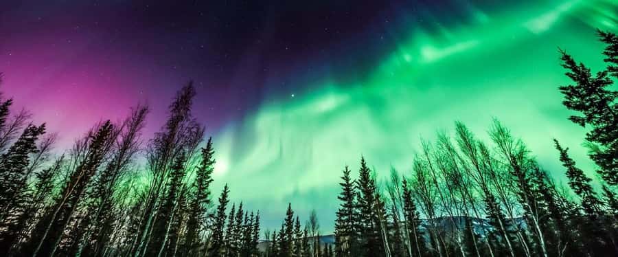 From Yellowknife:4-Day Aurora Viewing Tour with Hotel Pickup - Day 2: Great Slave Lake, old Yellowknife, and another sky watch