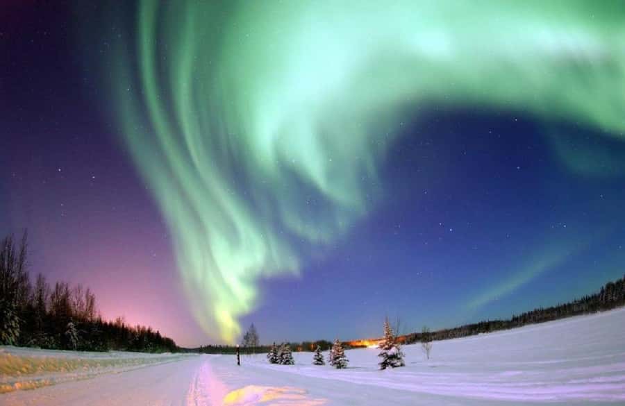 From Yellowknife:4-Day Aurora Viewing Tour with Hotel Pickup - Language is the key question to settle