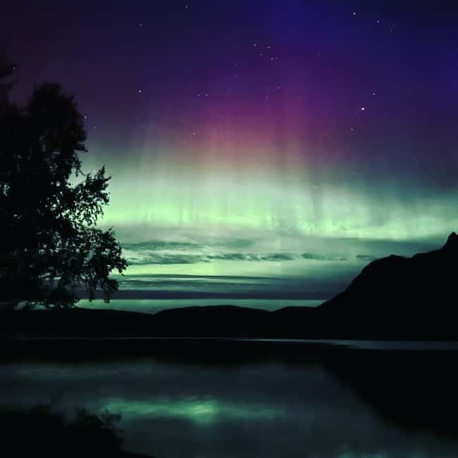Harstad/Narvik: Northern Lights Tours with Second Day Chance - Why this northern lights hunt feels different