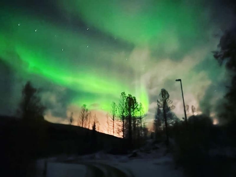 Harstad/Narvik: Northern Lights Tours with Second Day Chance - The daytime mountain and fjord options