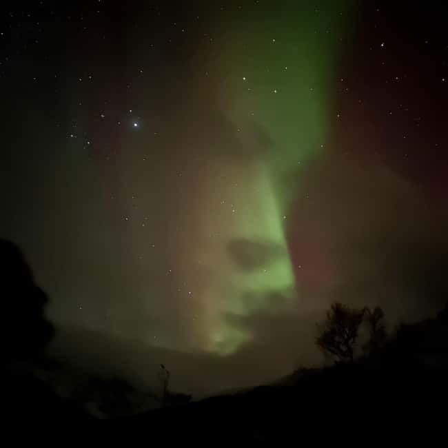 Harstad/Narvik: Northern Lights Tours with Second Day Chance - Wine, warmth, and the waiting game