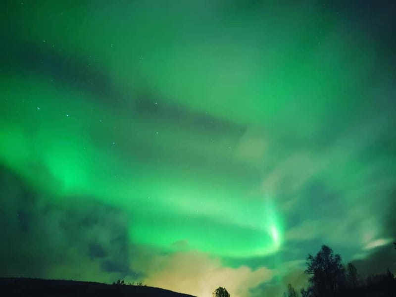 Harstad/Narvik: Northern Lights Tours with Second Day Chance - Photography and wildlife along the route