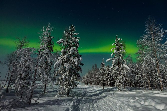 Hunting Northern Lights with Husky - Searching for the Northern Lights after the ride