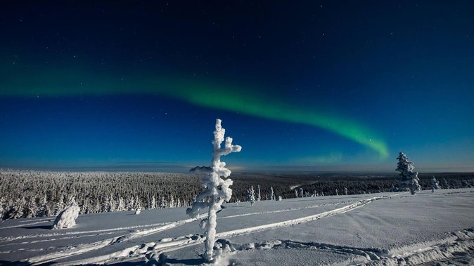 Hunting Northern Lights with Husky - Timing, group size, and the risk of waiting