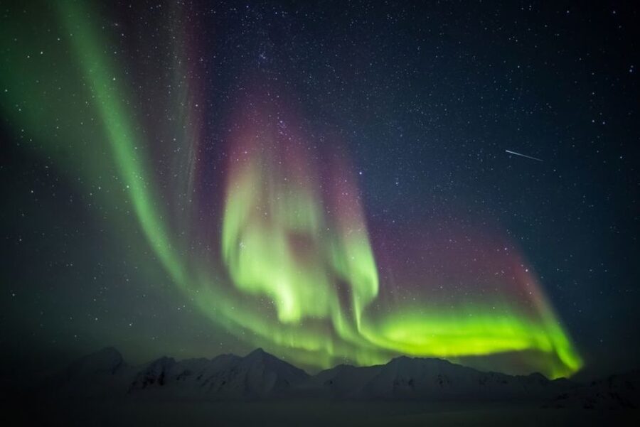 Iceland: South Coast and Northern Lights Tour - Reynisfjara: black sand, basalt, and serious waves