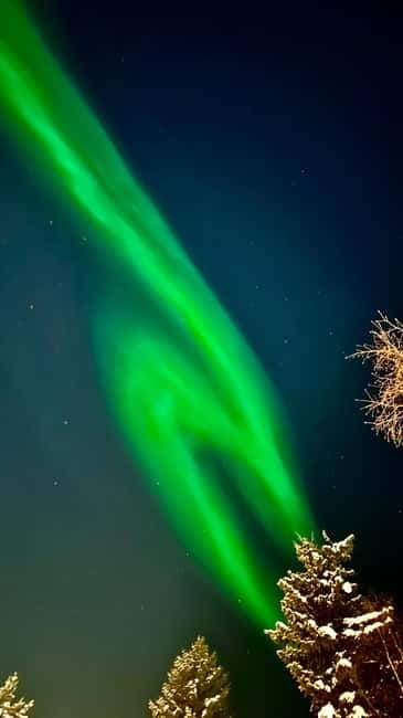 Inari/Ivalo: Aurora Hunting Tour by Car with Warm Drinks - Key points to know before you book