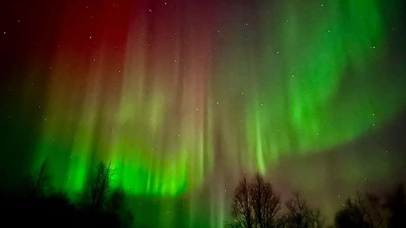 Inari/Ivalo: Aurora Hunting Tour by Car with Warm Drinks - Why this aurora hunt keeps moving