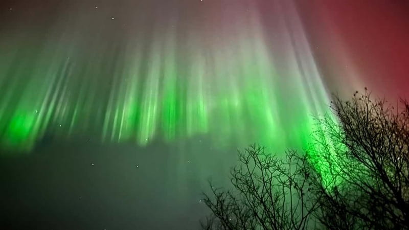 Inari/Ivalo: Aurora Hunting Tour by Car with Warm Drinks - The first forecast check and route decision