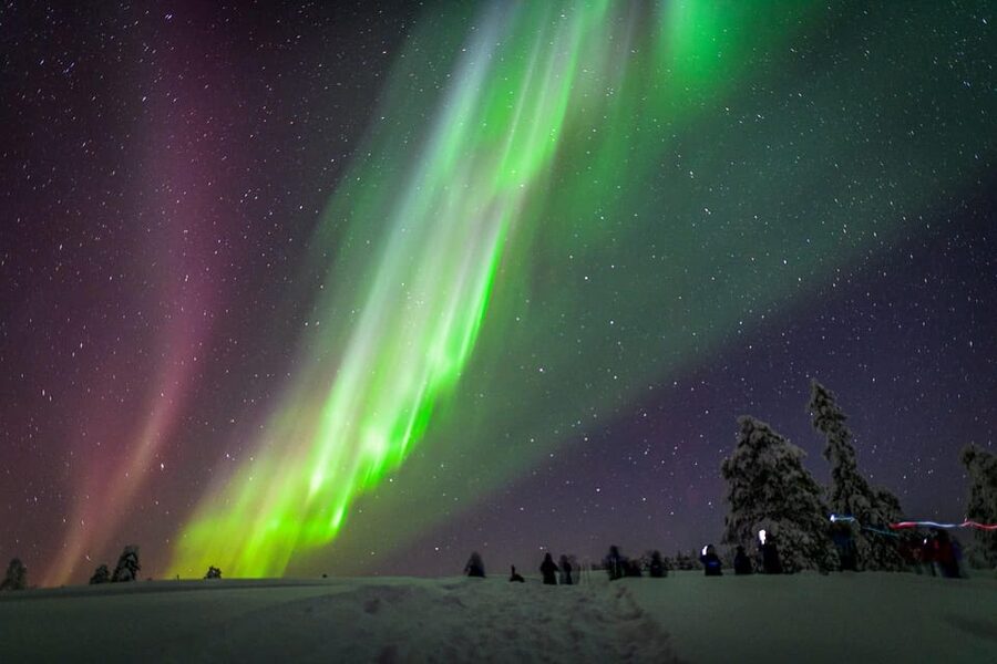 Inari: Northern Lights Hunt Snowmobile Safari - Key points to know before booking