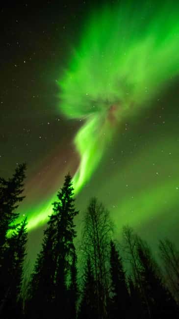 Kemijärvi: Insider Guided Aurora Hunting - A minivan ride guided by weather and aurora data