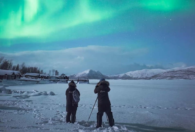 Kiruna: Abisko Northern Lights Tour with Dinner - Key points to know before you book