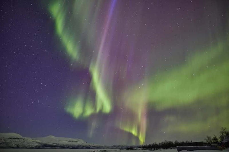 Kiruna: Abisko Northern Lights Tour with Dinner - Why Abisko makes sense for a Northern Lights evening