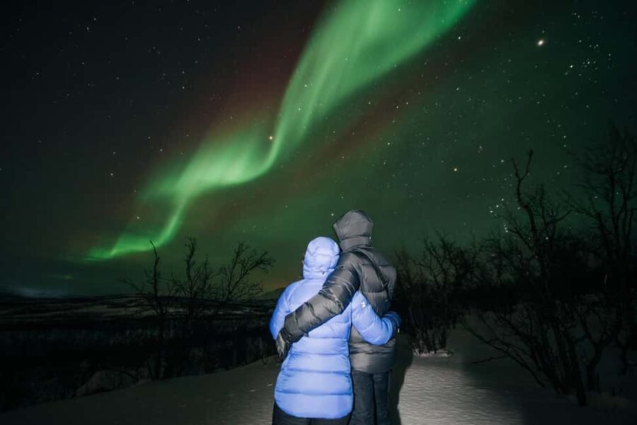 Kiruna: Northern Lights Chase with Car - Key points to know before you book