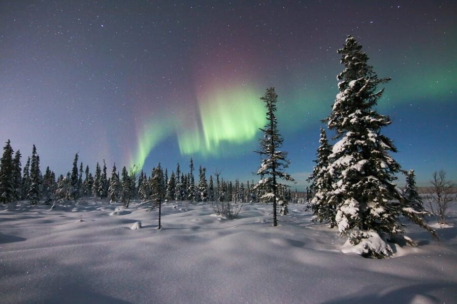 Kiruna: Northern Lights Minivan Chase with Warm Drink - Key points at a glance