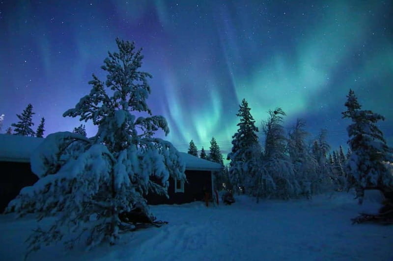 Kiruna: Snowshoe Trek with Aurora Hunt and Warm Beverage - Key points to know before you book