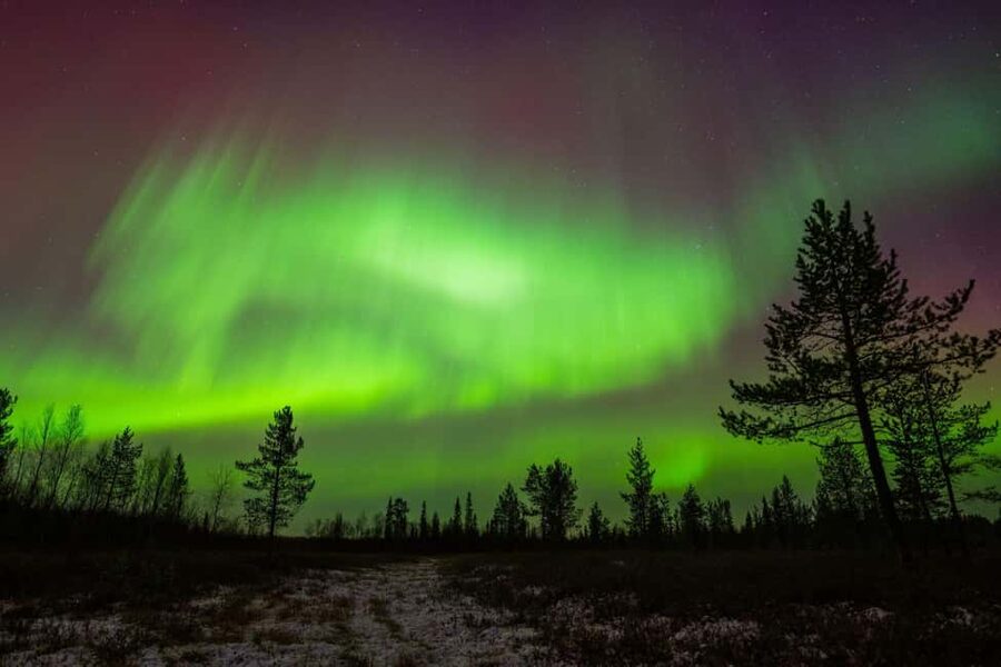 Lapland: Aurora Hunting by Minivan with Guide and Transport - Why the local guides make a difference