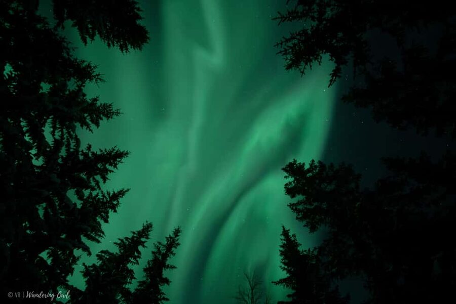 LEVI Adults Only Northern Lights Hunt with Snowshoeing - Why this Levi night feels different