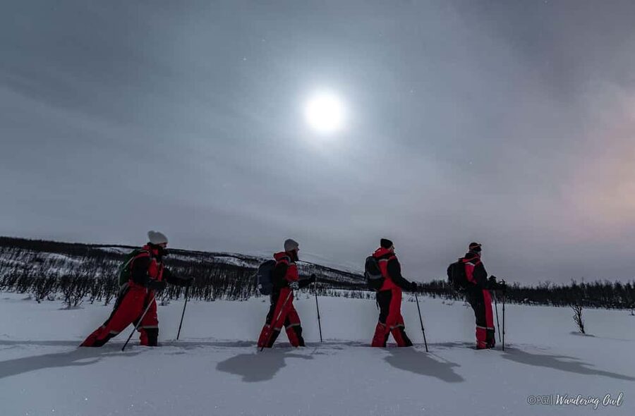LEVI Adults Only Northern Lights Hunt with Snowshoeing - From Levi to the dark Arctic forest