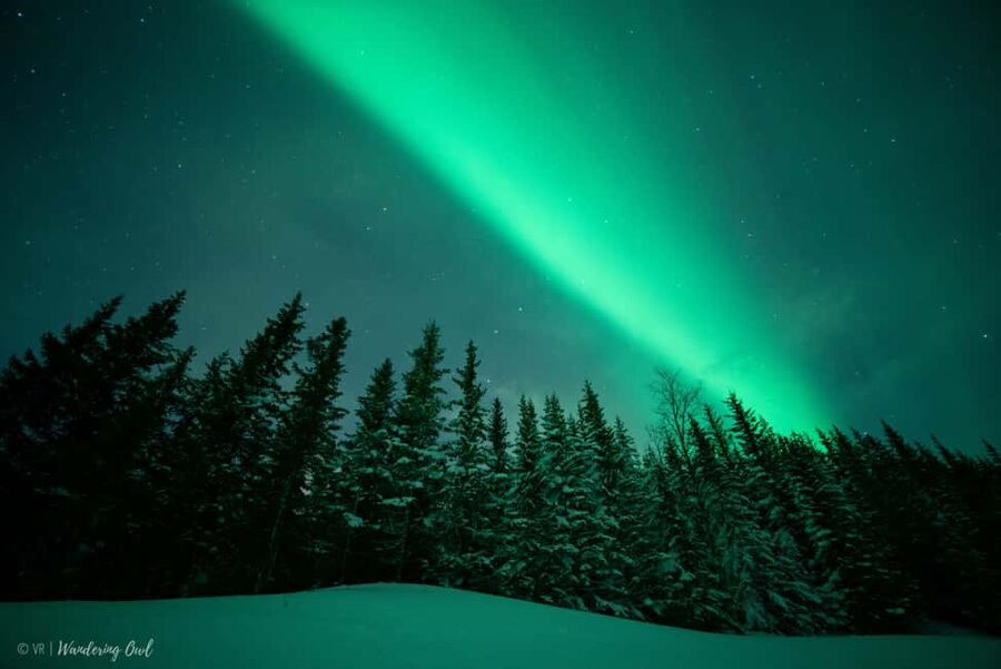LEVI Adults Only Northern Lights Hunt with Snowshoeing - Finding the Northern Lights away from city lights