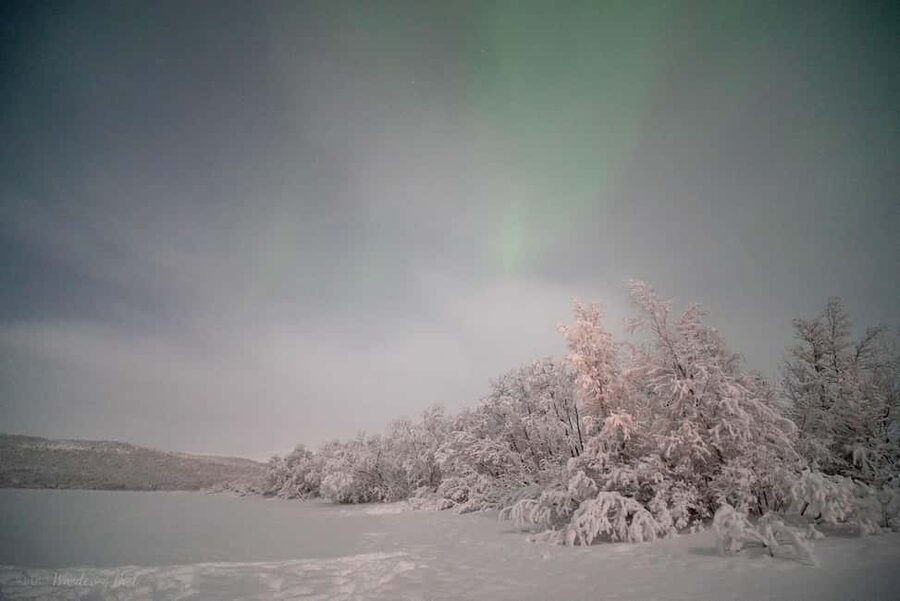 LEVI Adults Only Northern Lights Hunt with Snowshoeing - What guide Erwin adds to the evening