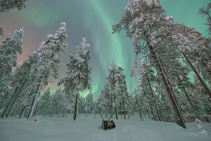 LEVI Adults Only Northern Lights Hunt with Snowshoeing - Is $259 a fair price?