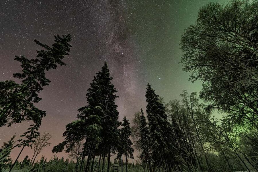 LEVI Adults Only Northern Lights Hunt with Snowshoeing - Who should book this six-hour adventure?