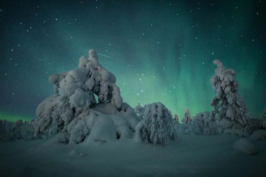 LEVI Adults Only Northern Lights Hunt with Snowshoeing - Snowshoeing through Finnish Lapland