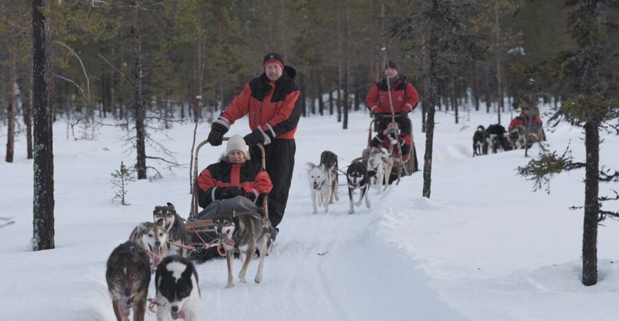 Levi: Evening Husky Sled Ride under the Northern Lights - Setting off from Hissitie 11 in Levi