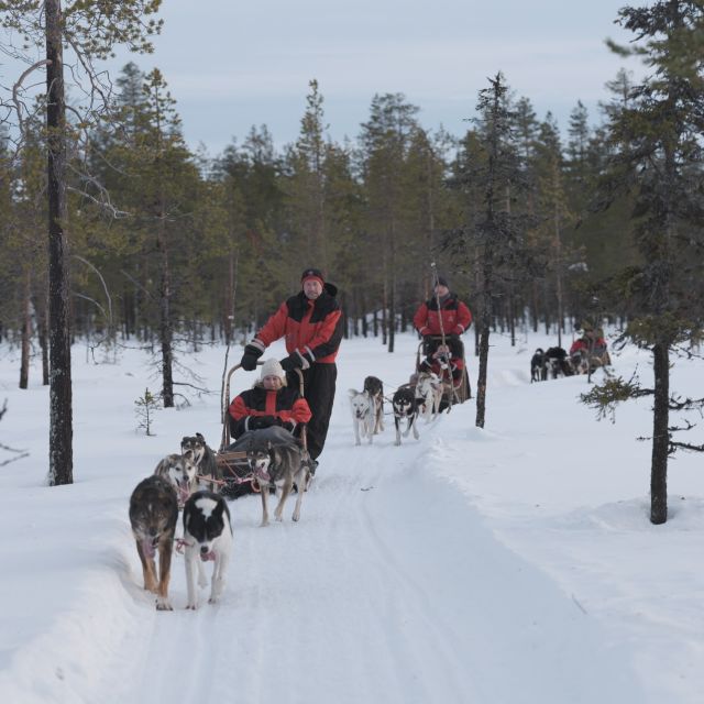 Levi: Evening Husky Sled Ride under the Northern Lights - Clothing, comfort, and accessibility