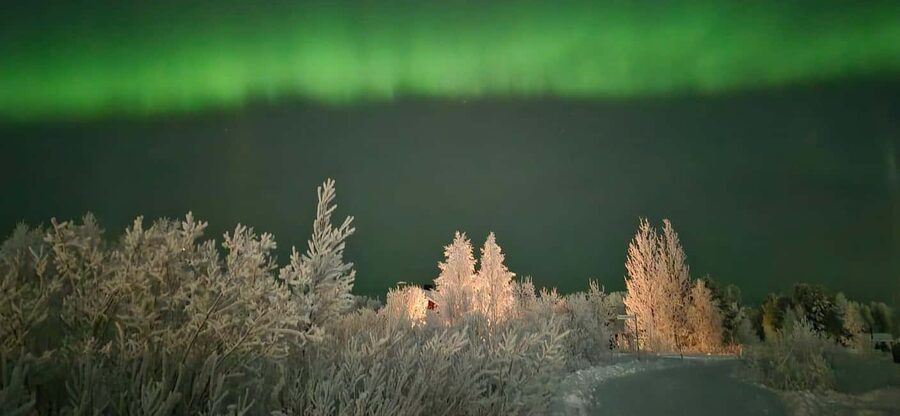 Levi: Northern Lights by Minivan with hot drinks and snacks - Who will enjoy this most