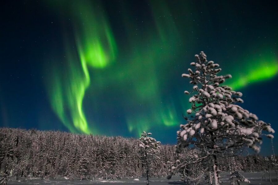 Levi: Northern Lights Campfire - Key points to know before you book