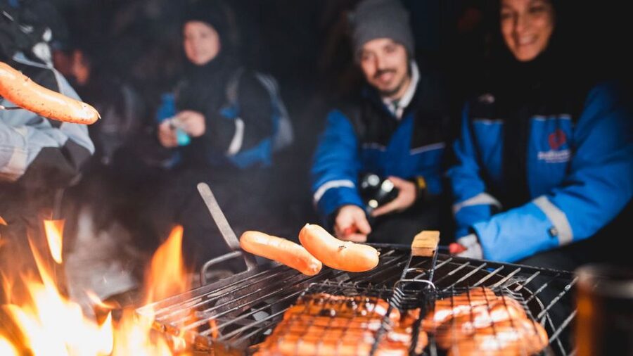 Levi: Northern Lights Snowmobile Tour with Snacks and Drinks - Key points to know