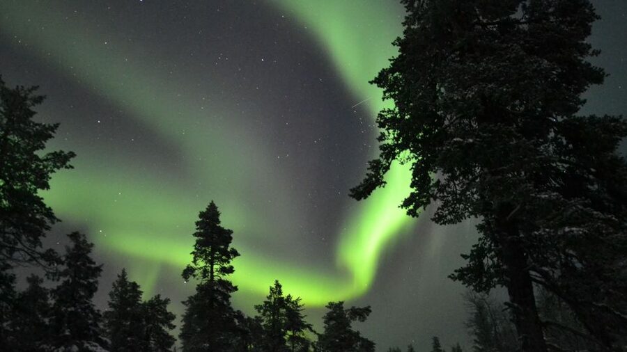 Levi: Northern Lights Snowmobile Tour with Snacks and Drinks - Who should book this evening